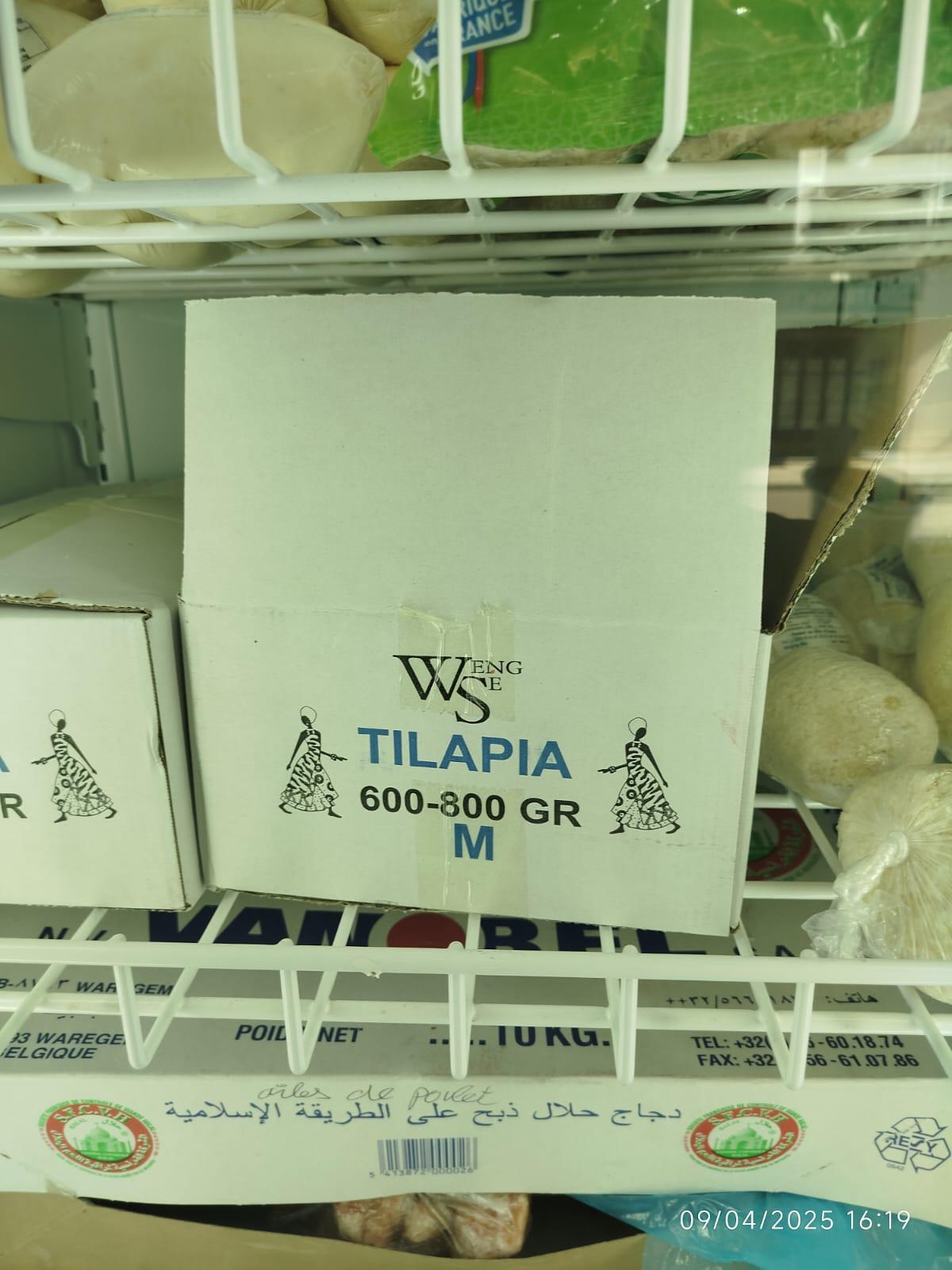 poissons_tilapia