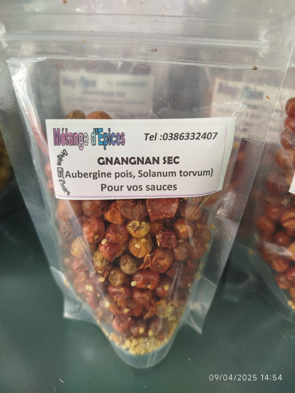 gnangnan_sec