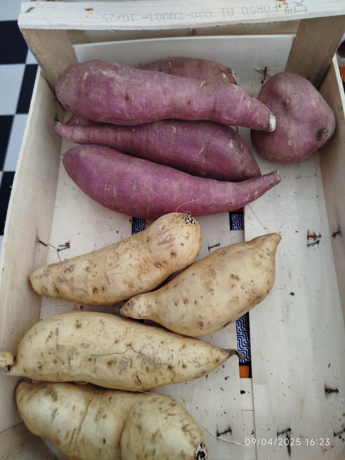 patates_douces