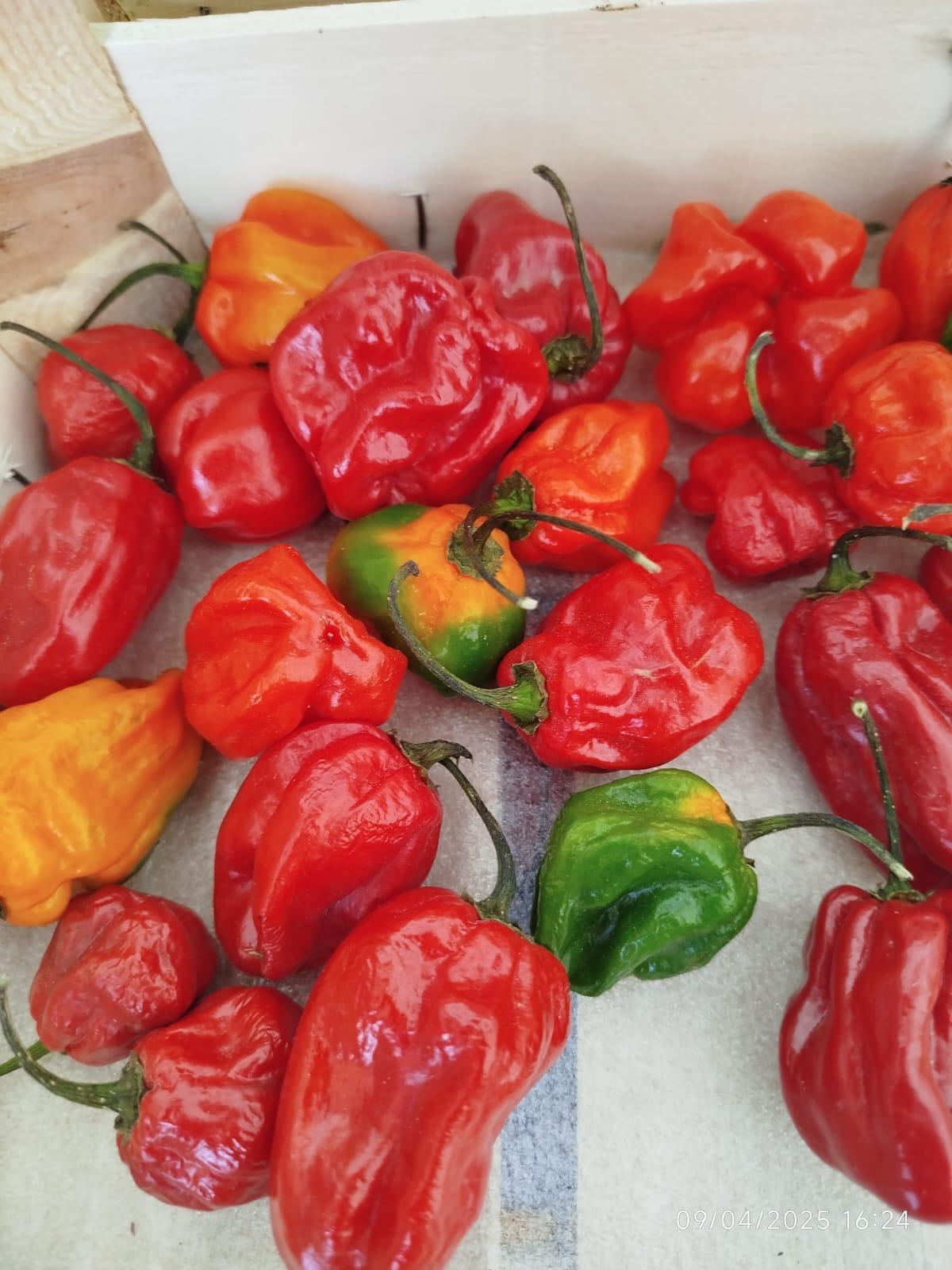 piments